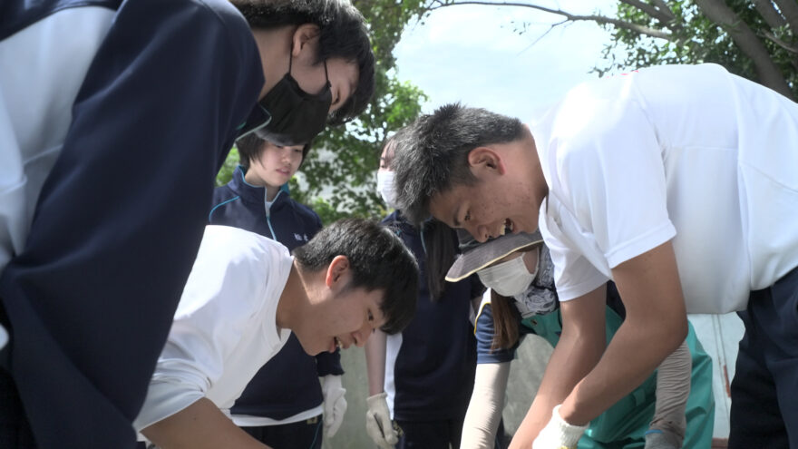 大阪生き物一斉調査 海遊館裏の大阪湾岸壁調査