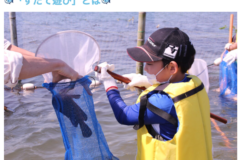 大阪湾でできる「すだて遊び体験」が始まっていますた。