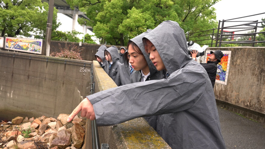 水都国際高等学校の学生による大阪の河川調査(2/4)