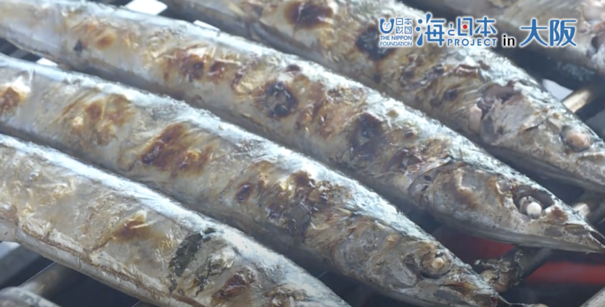 サンマシーズン到来！泉大津さんま祭りが開催されます。