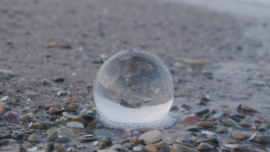 冬といえばビーチコーミング！シーズン到来