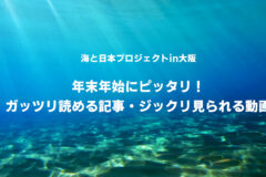 長期休暇にぴったり！見応え抜群の記事と動画