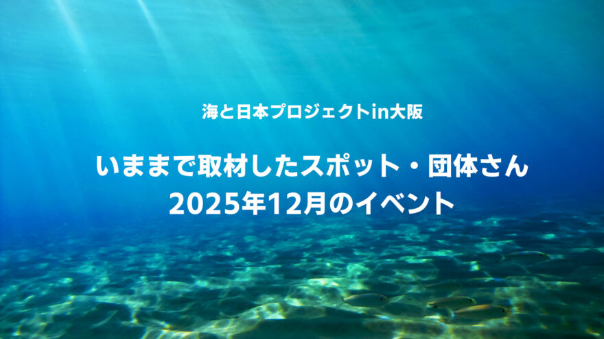 12月の大阪湾にまつわるイベント