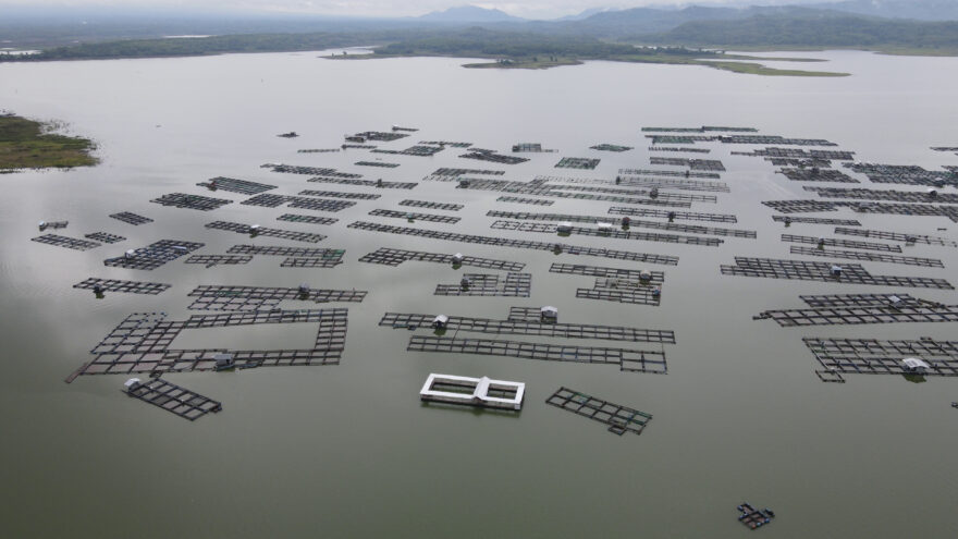 新しい時代の養殖は陸上養殖！？