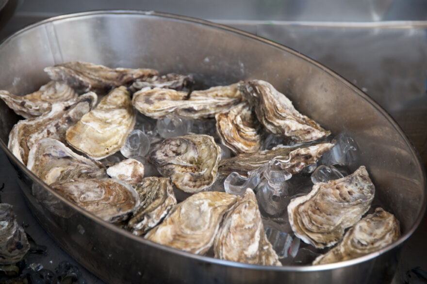 fresh oyster on a market