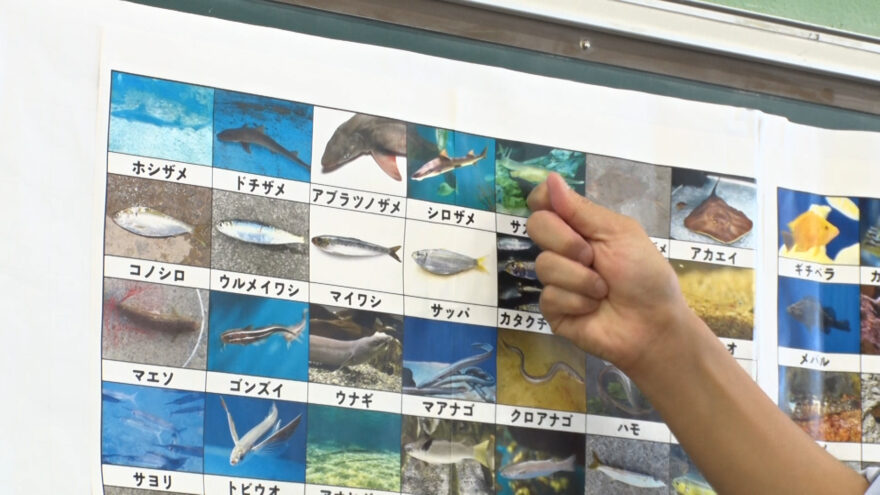 新家東小学校の子供達が特別な大阪湾学習を行いました。