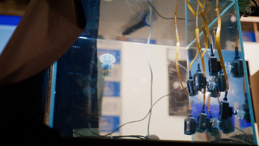 【番組情報】海洋研究３Dスーパーサイエンスプロジェクト